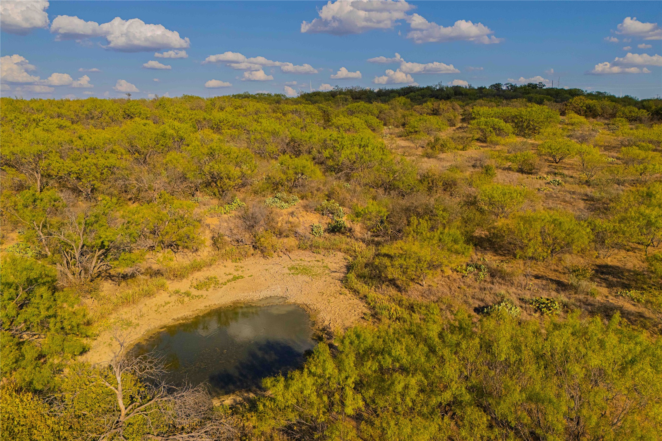 10579 Private Road 3151 Moran TX 76464