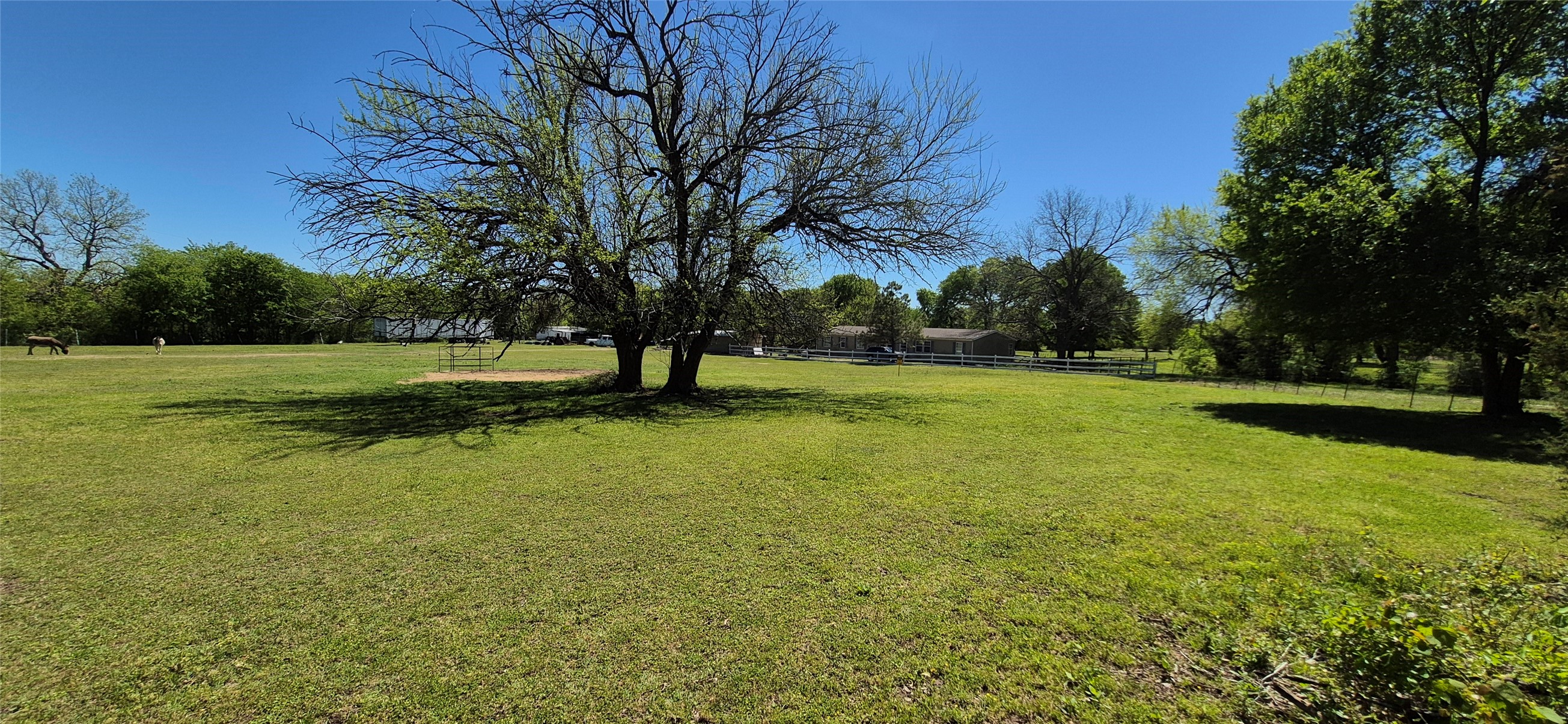 1199 County Road 1245 Savoy TX 75479