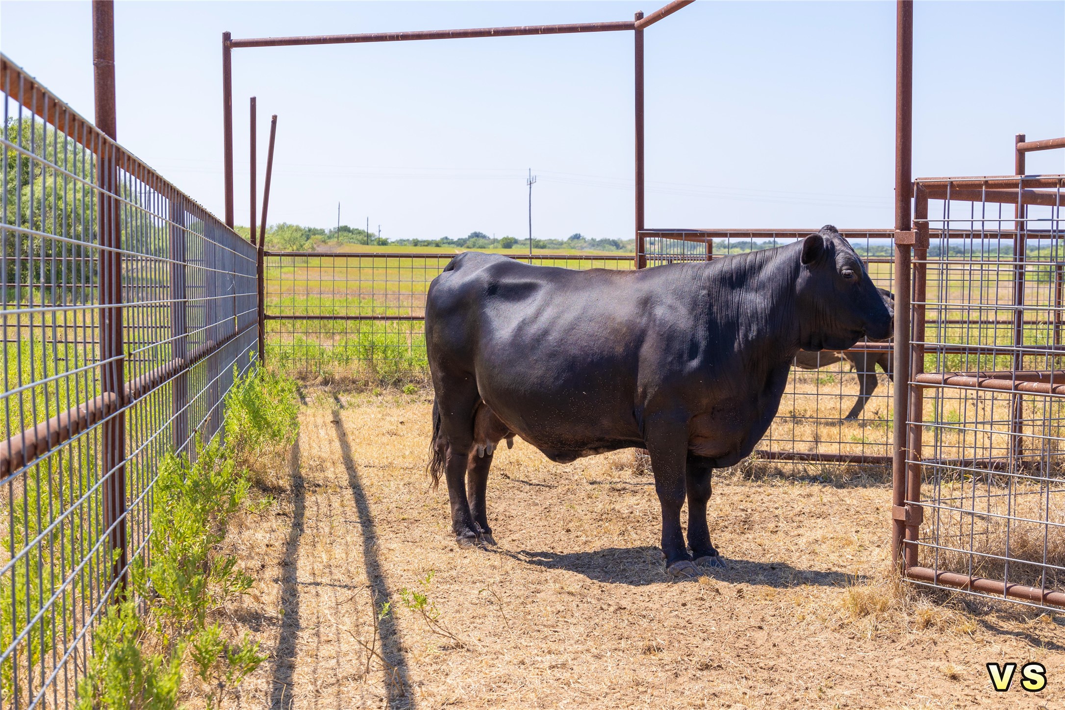 8288 County Road 329 Blanket TX 76432