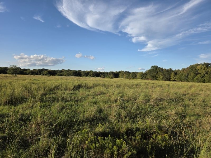 1200 E Rabbit Cove Road West Tawakoni TX 75474