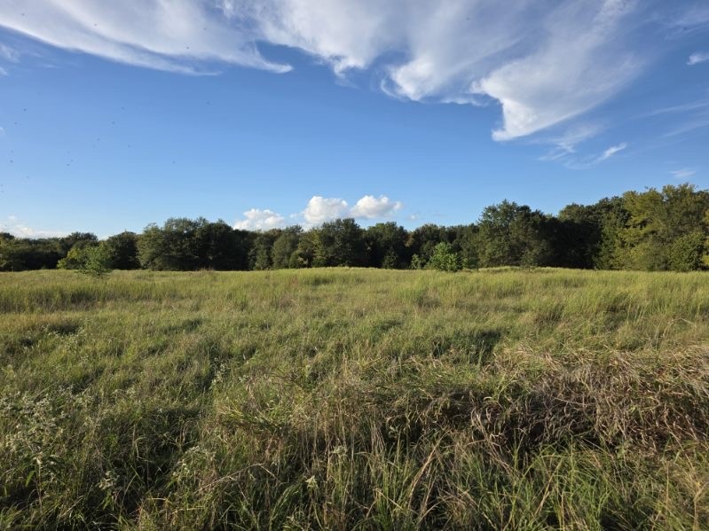 1200 E Rabbit Cove Road West Tawakoni TX 75474