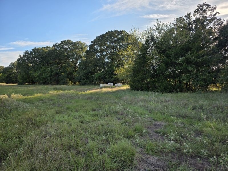 1200 E Rabbit Cove Road West Tawakoni TX 75474