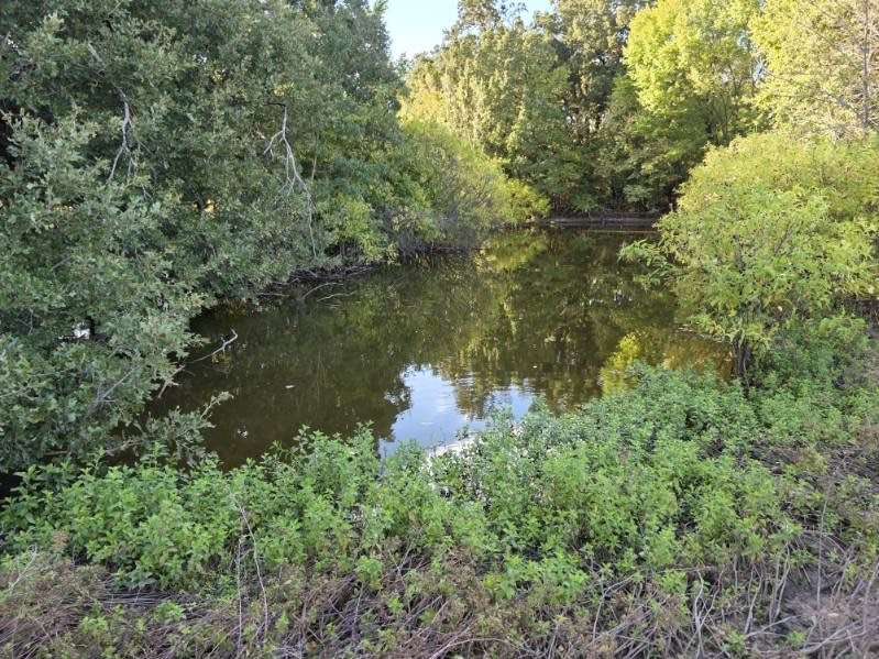 1200 E Rabbit Cove Road West Tawakoni TX 75474