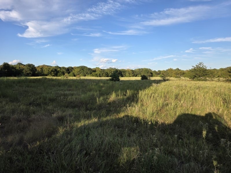 1200 E Rabbit Cove Road West Tawakoni TX 75474