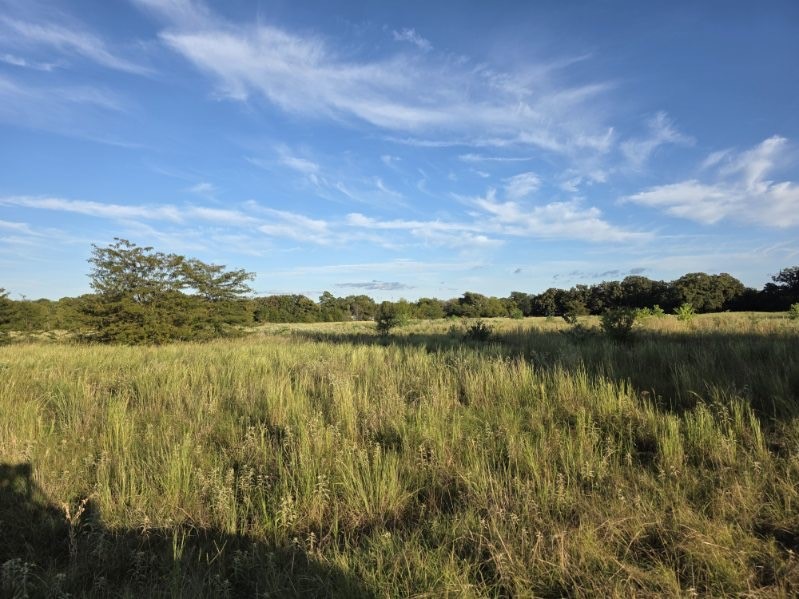 1200 E Rabbit Cove Road West Tawakoni TX 75474