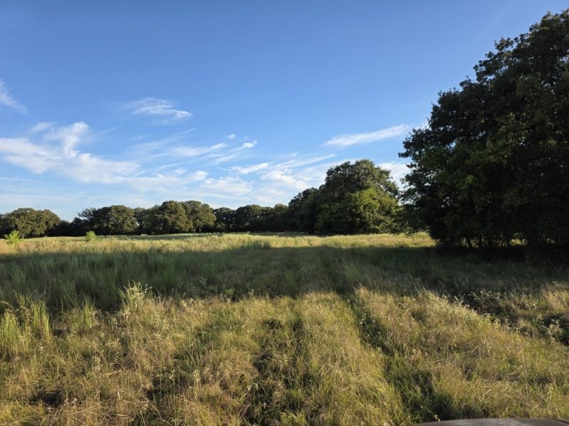 1200 E Rabbit Cove Road West Tawakoni TX 75474
