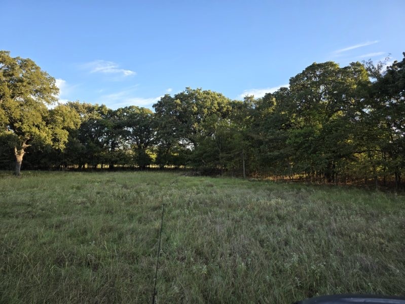 1200 E Rabbit Cove Road West Tawakoni TX 75474
