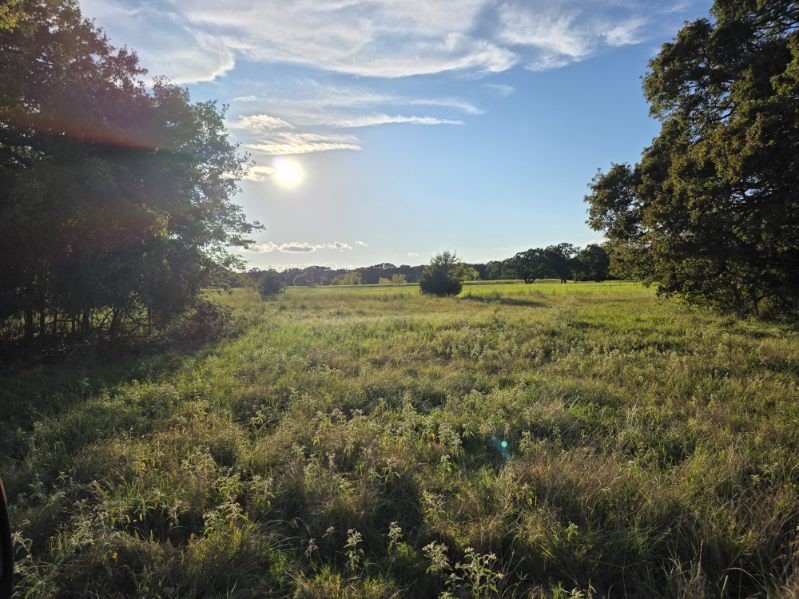 1200 E Rabbit Cove Road West Tawakoni TX 75474