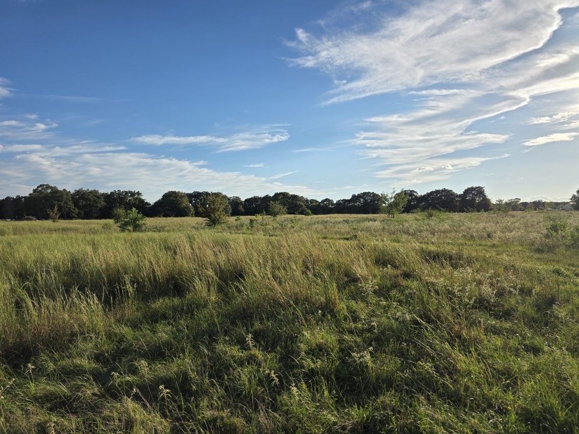 1200 E Rabbit Cove Road West Tawakoni TX 75474