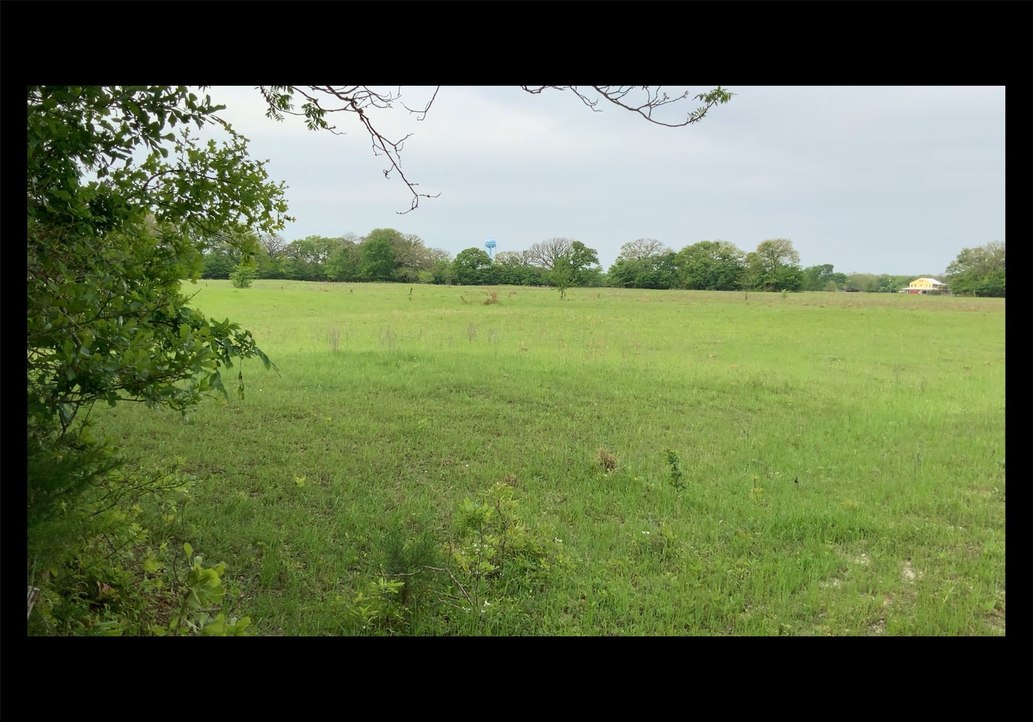 1200 E Rabbit Cove Road West Tawakoni TX 75474