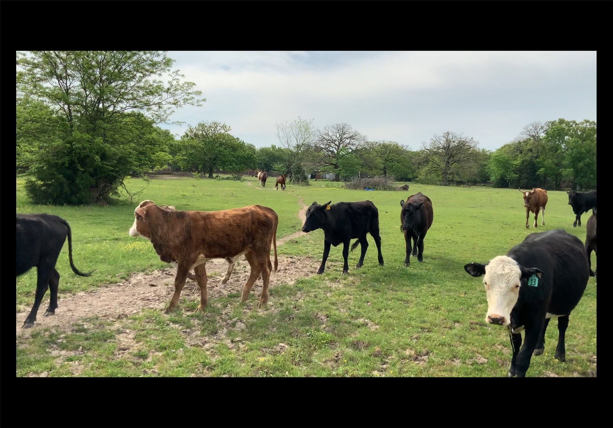 1200 E Rabbit Cove Road West Tawakoni TX 75474