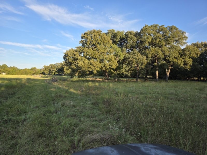 1200 E Rabbit Cove Road West Tawakoni TX 75474
