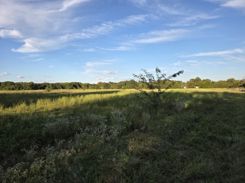 1200 E Rabbit Cove Road West Tawakoni TX 75474