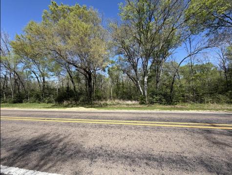 Tract 3 Fm 542 Oakwood TX 75855