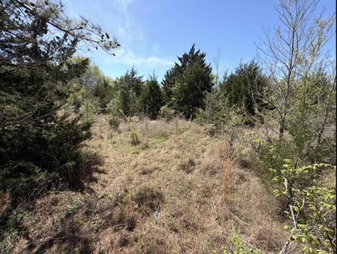 Tract 3 Fm 542 Oakwood TX 75855