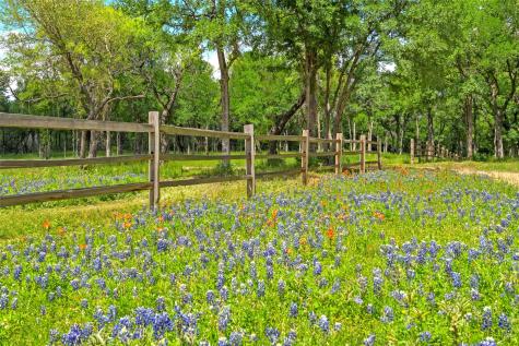 59 Ac. Grove Creek Drive Logue Lane Waco TX 76708