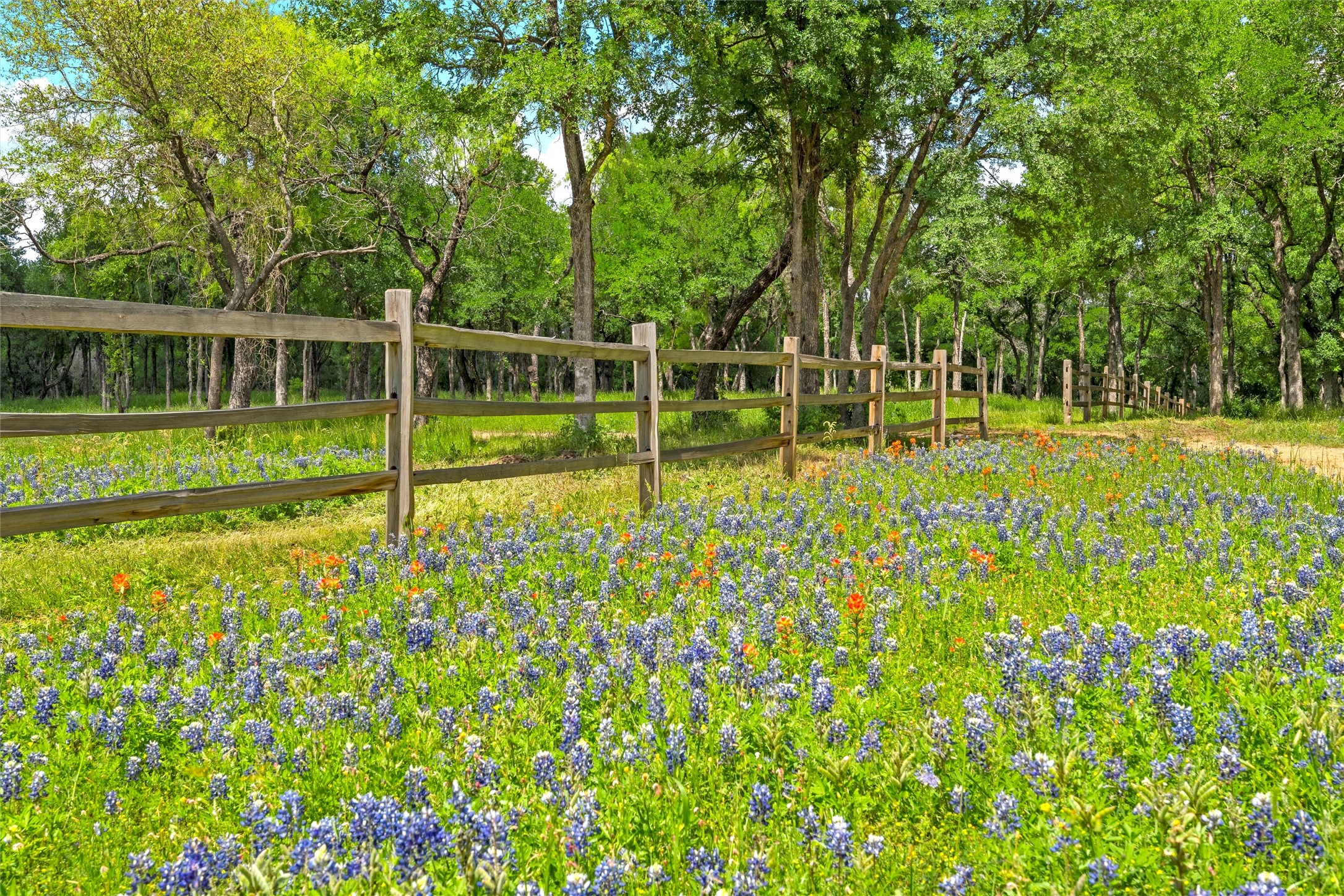 59 Ac. Grove Creek Drive Logue Lane Waco TX 76708