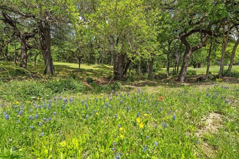 59 Ac. Grove Creek Drive Logue Lane Waco TX 76708