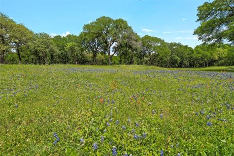 59 Ac. Grove Creek Drive Logue Lane Waco TX 76708