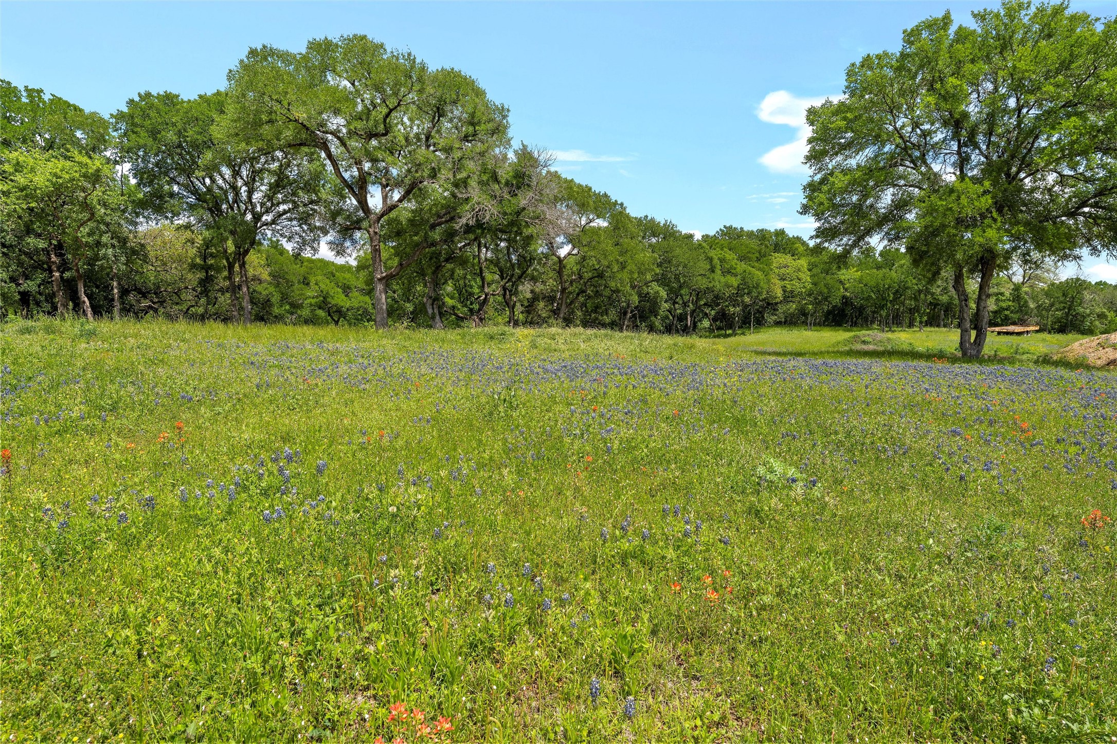 59 Ac. Grove Creek Drive Logue Lane Waco TX 76708