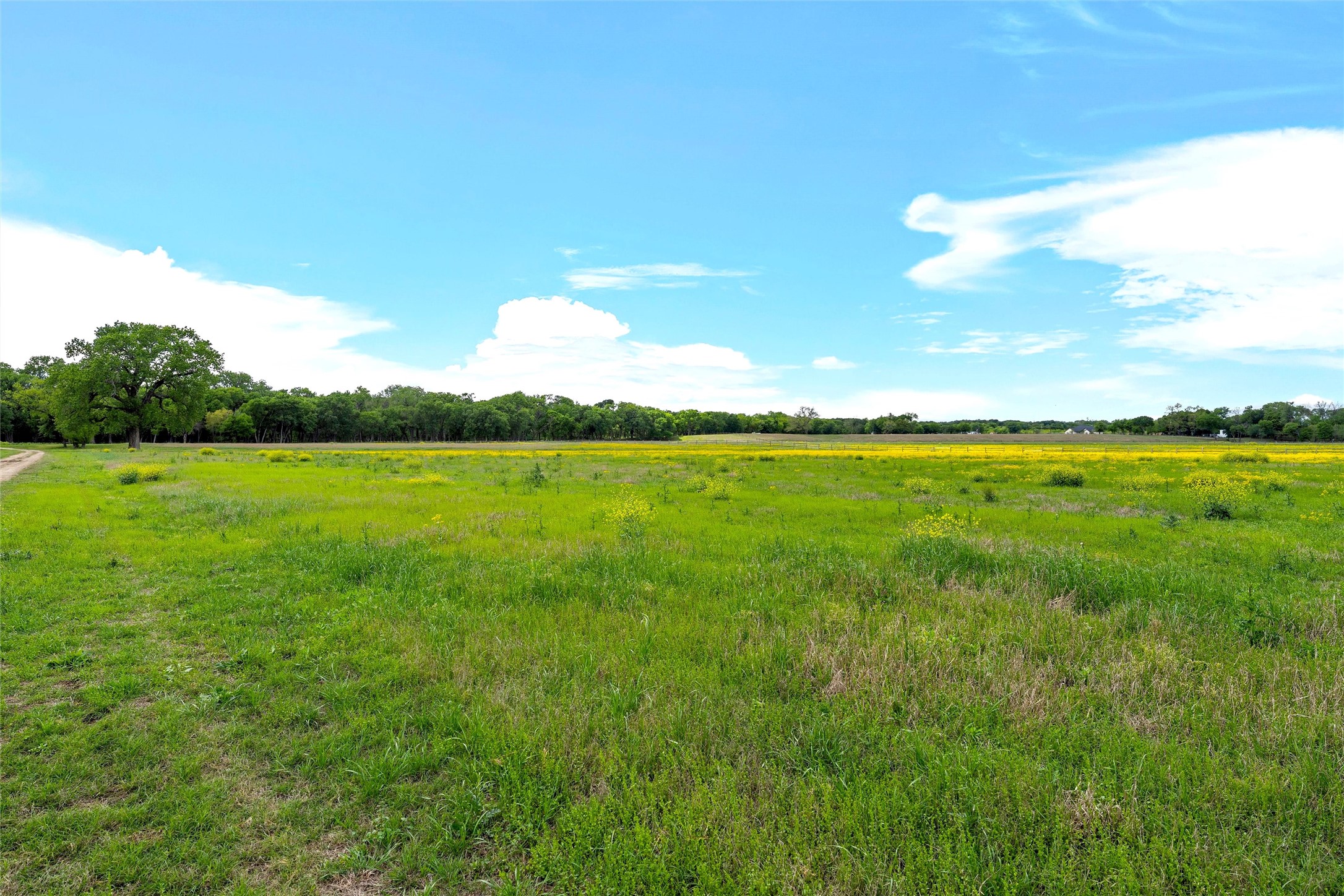 59 Ac. Grove Creek Drive Logue Lane Waco TX 76708