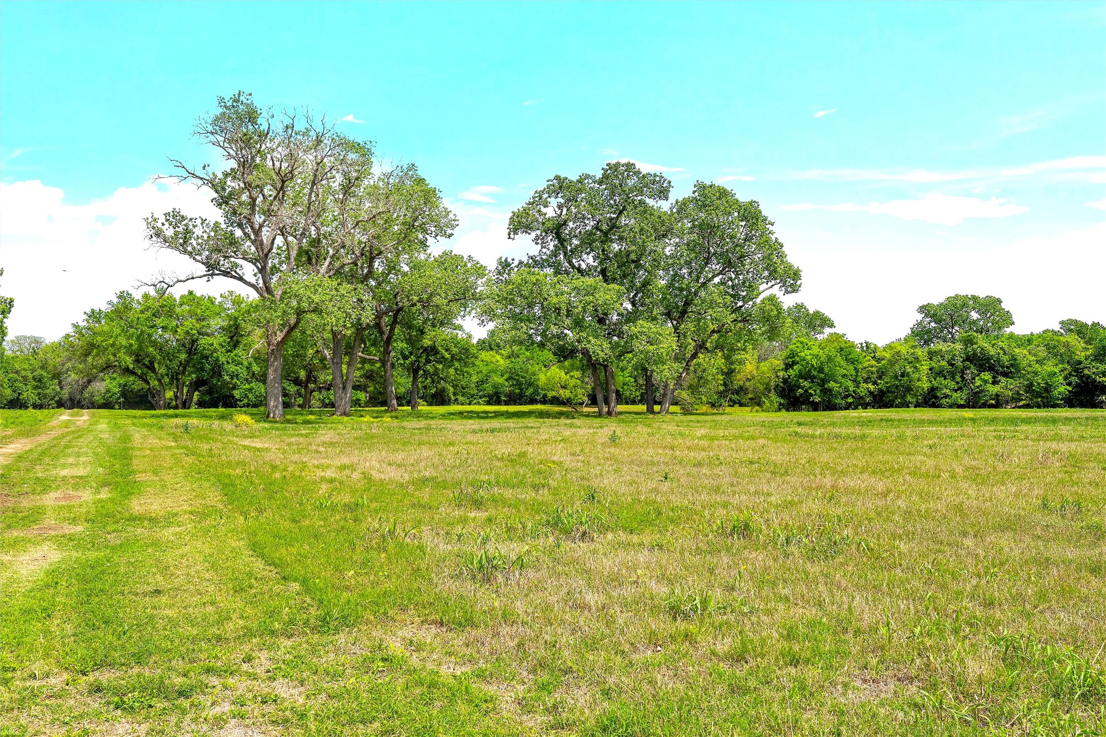 59 Ac. Grove Creek Drive Logue Lane Waco TX 76708