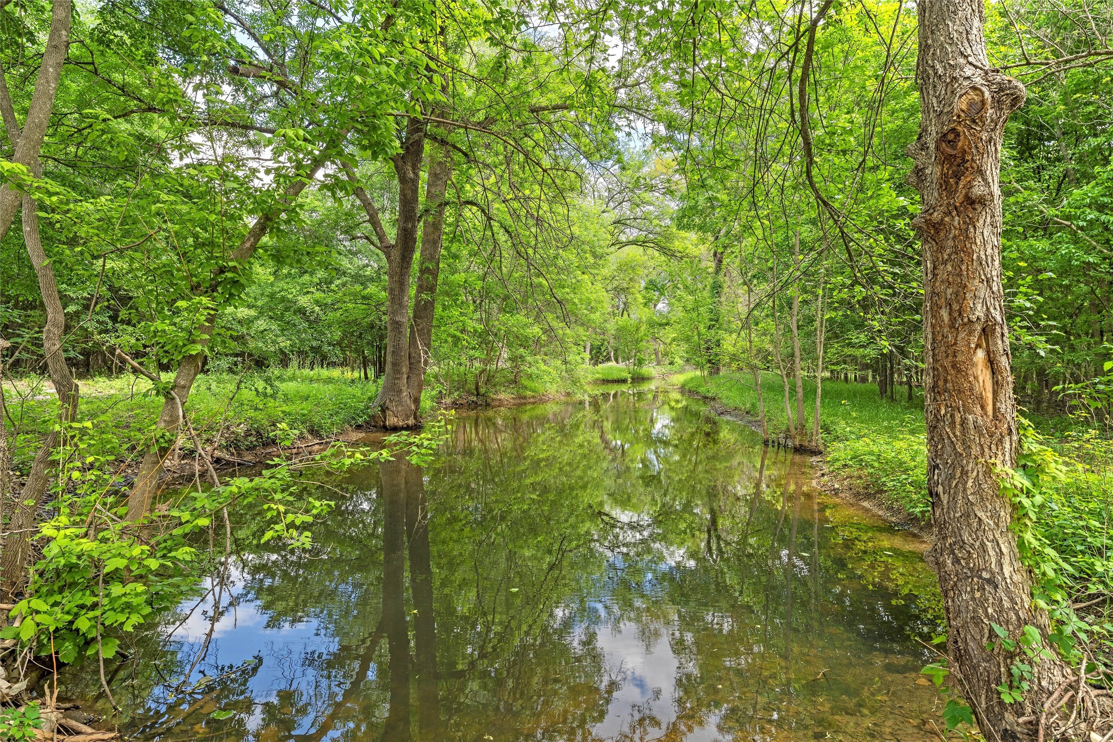 59 Ac. Grove Creek Drive Logue Lane Waco TX 76708