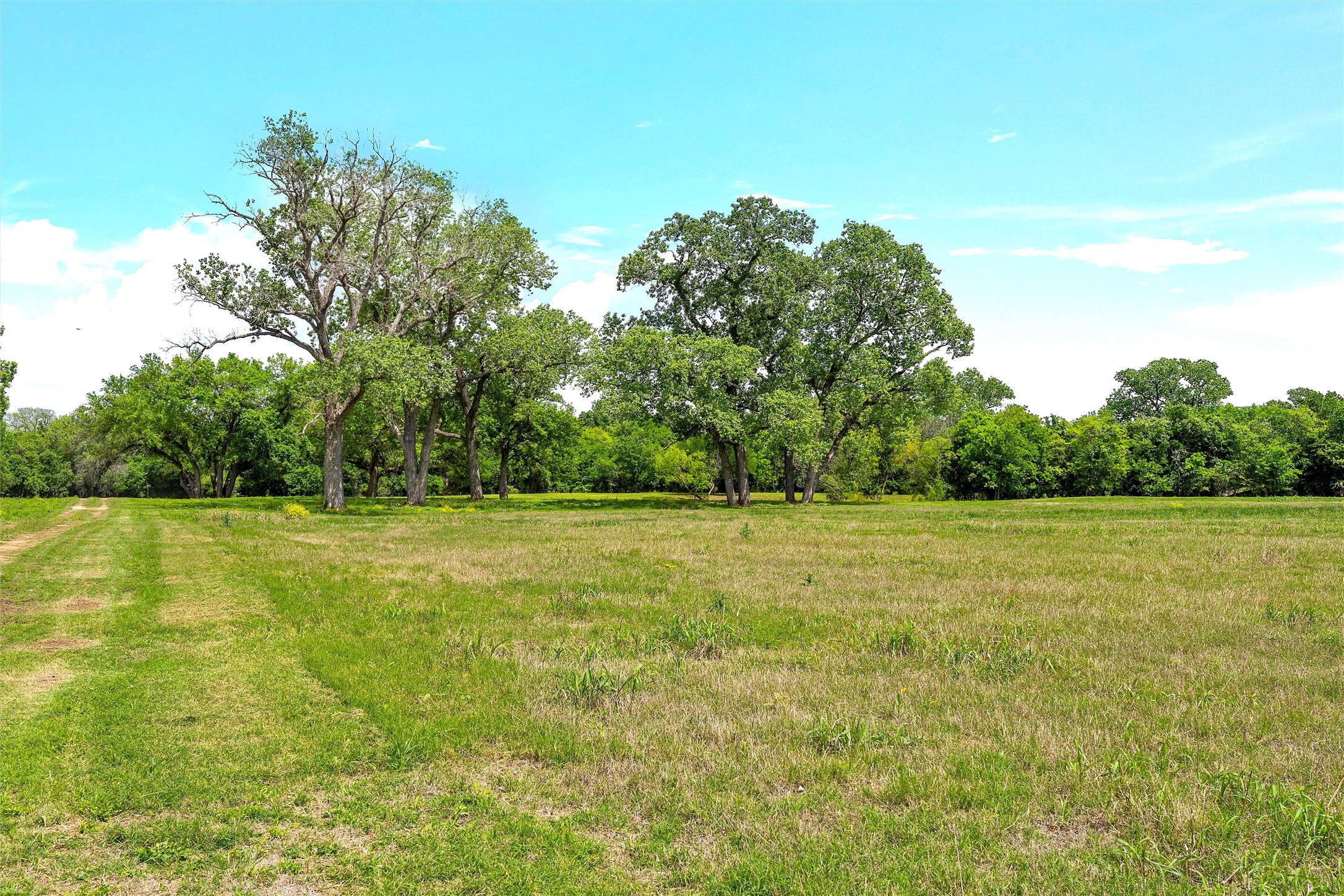 59 Ac. Grove Creek Drive Logue Lane Waco TX 76708