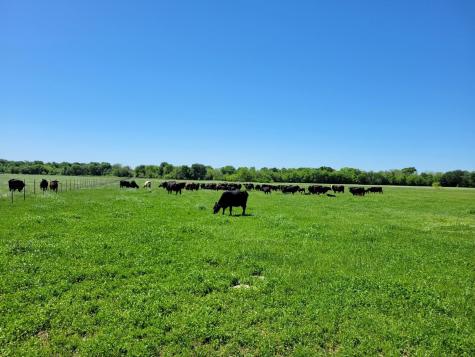 1567 Fm 1567 Lone Oak TX 75453