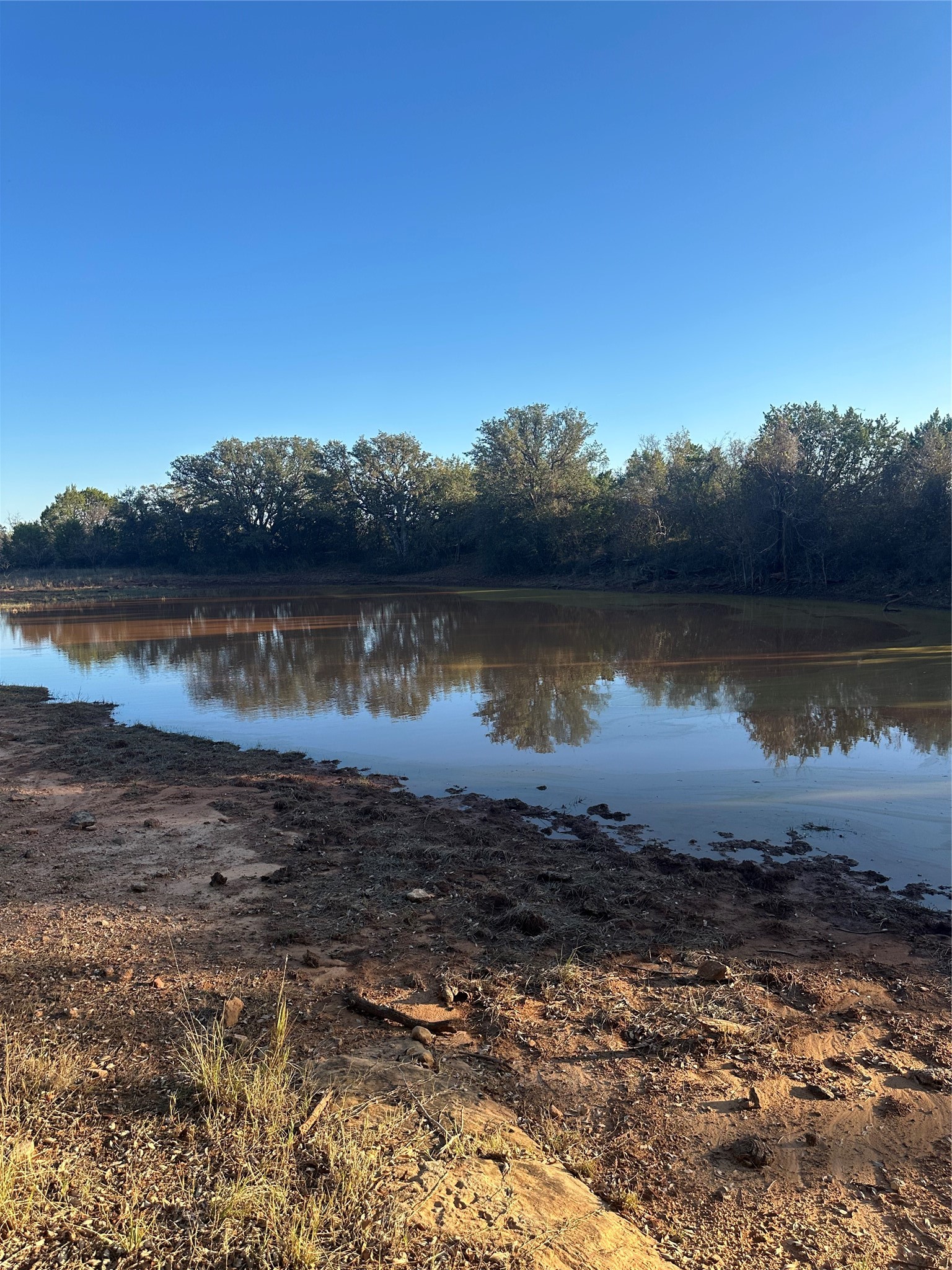 Cr 139 Thomas 75 Acre Tract Bangs TX 76823