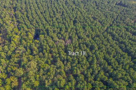Tract 18 County Road 4224 Frankston TX 75763