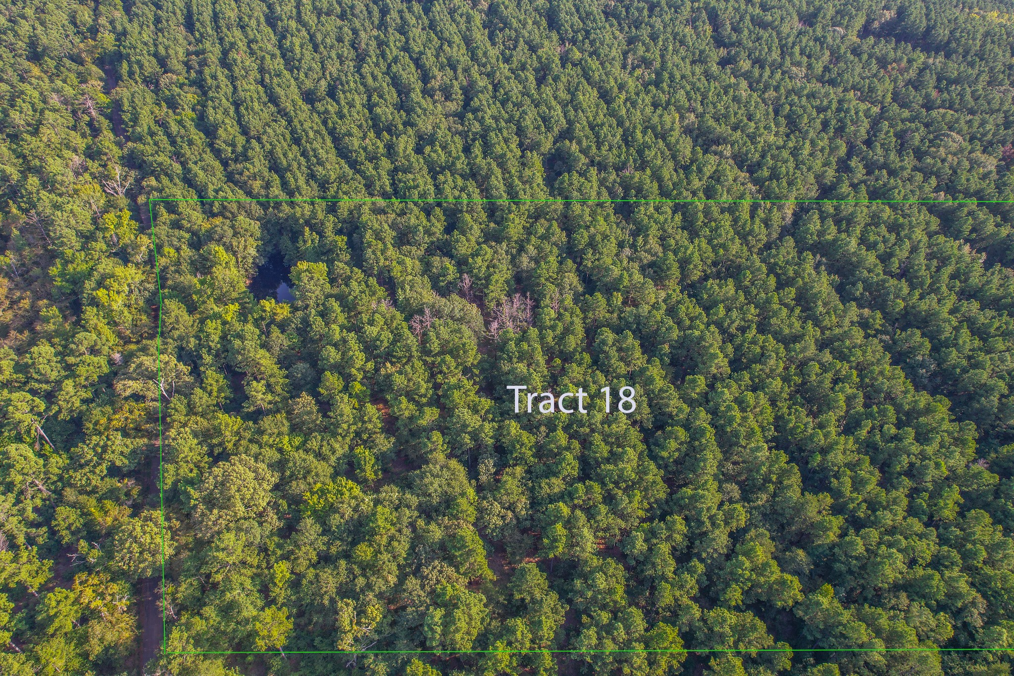 Tract 18 County Road 4224 Frankston TX 75763