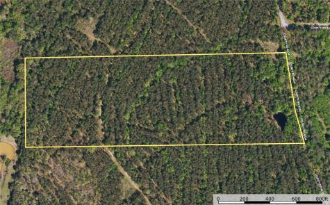 Tract 18 County Road 4224 Frankston TX 75763