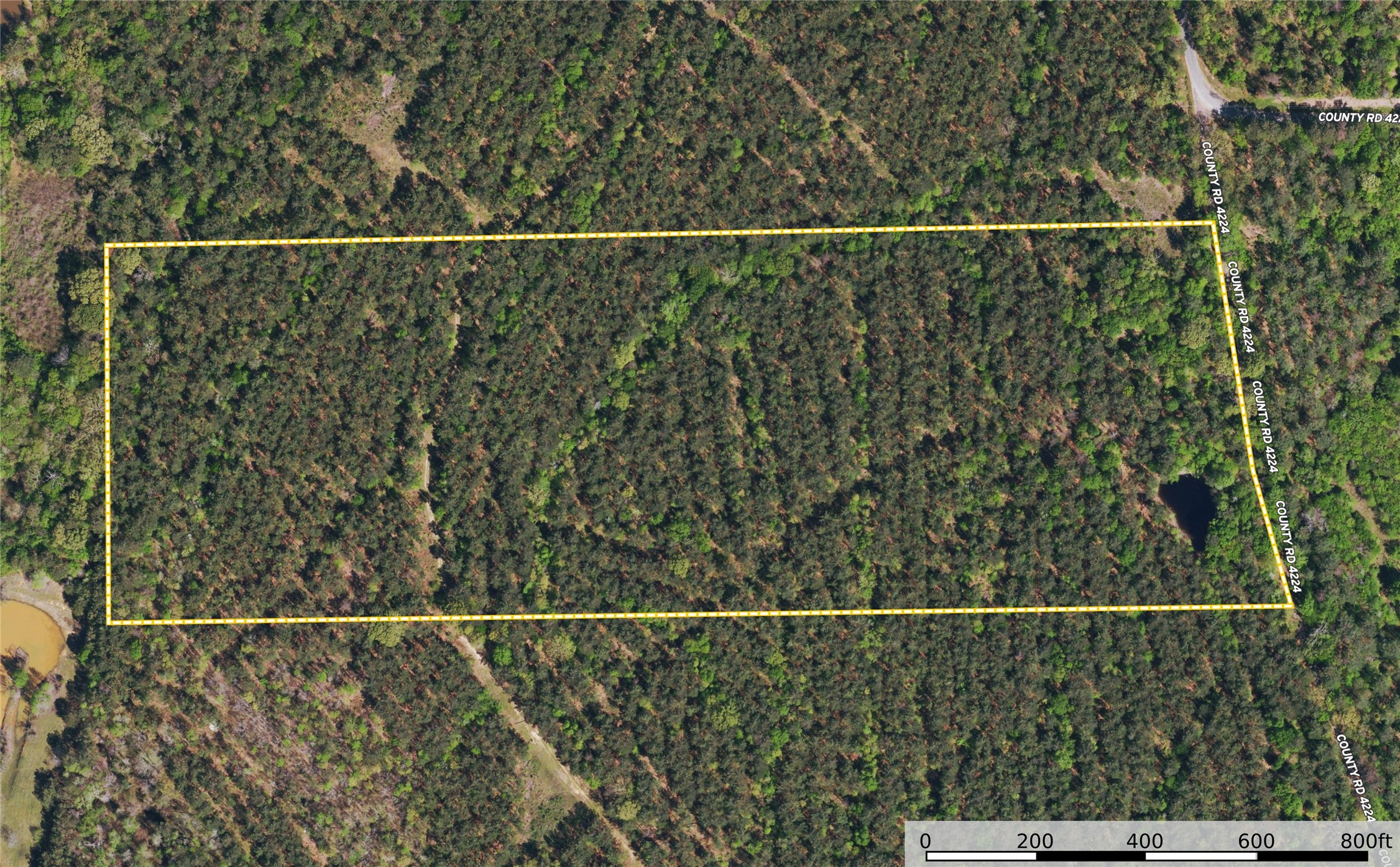 Tract 18 County Road 4224 Frankston TX 75763