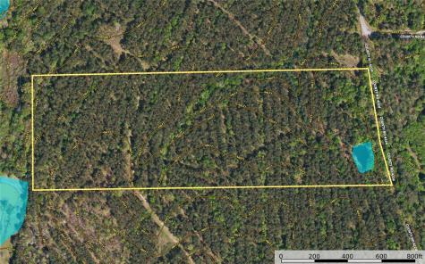 Tract 18 County Road 4224 Frankston TX 75763