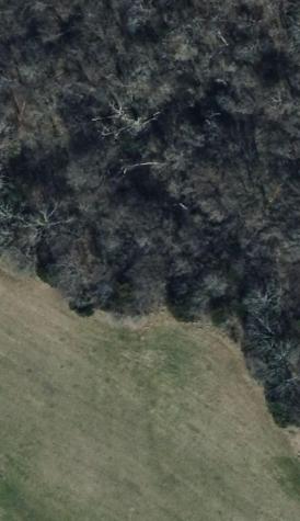 Tbd Lot 1 County Road 2005 Bonham TX 75418