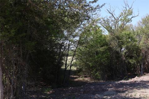 Tbd Lot 1 County Road 2005 Bonham TX 75418