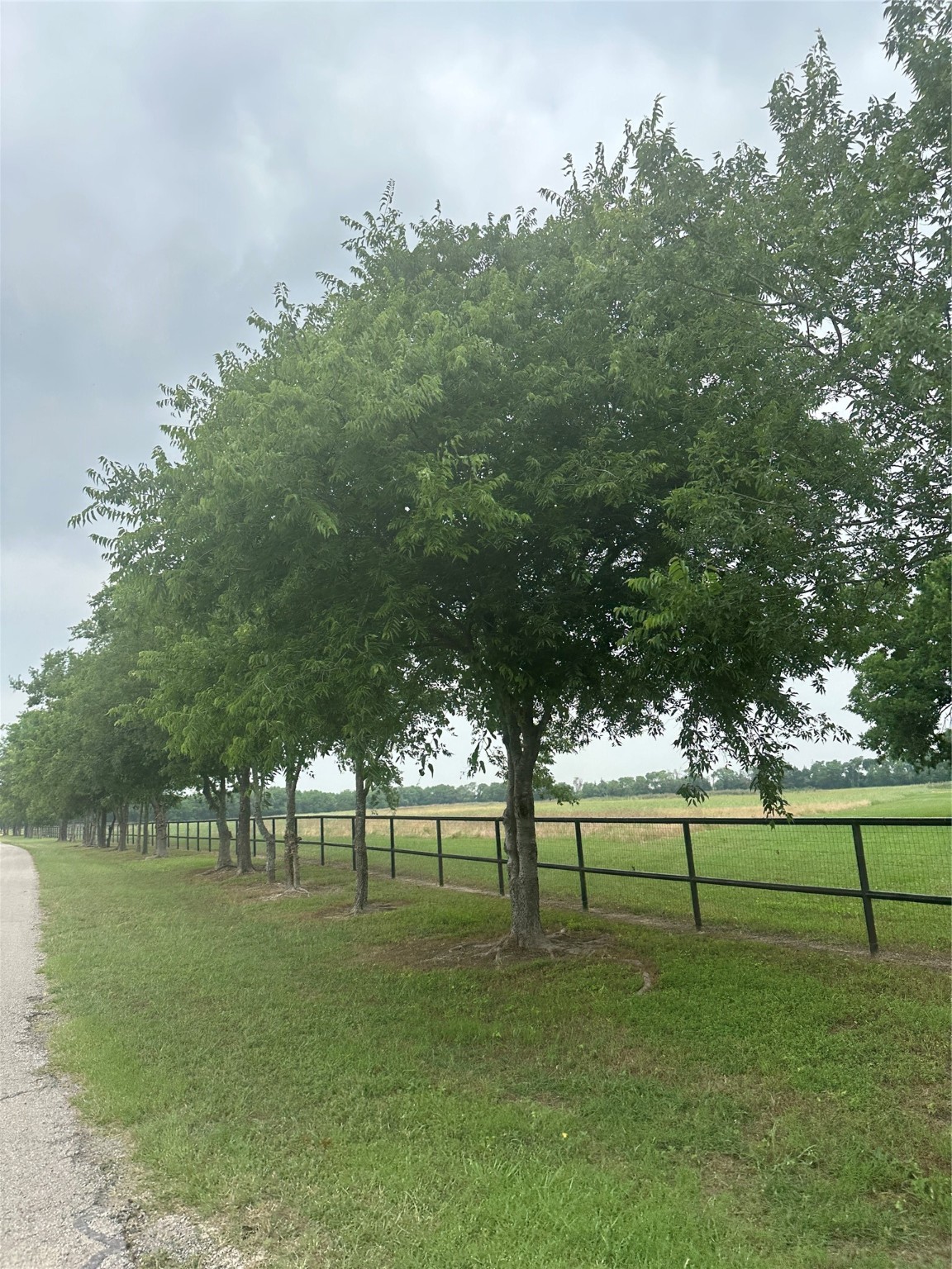 4611 Stout Road Midlothian TX 76065