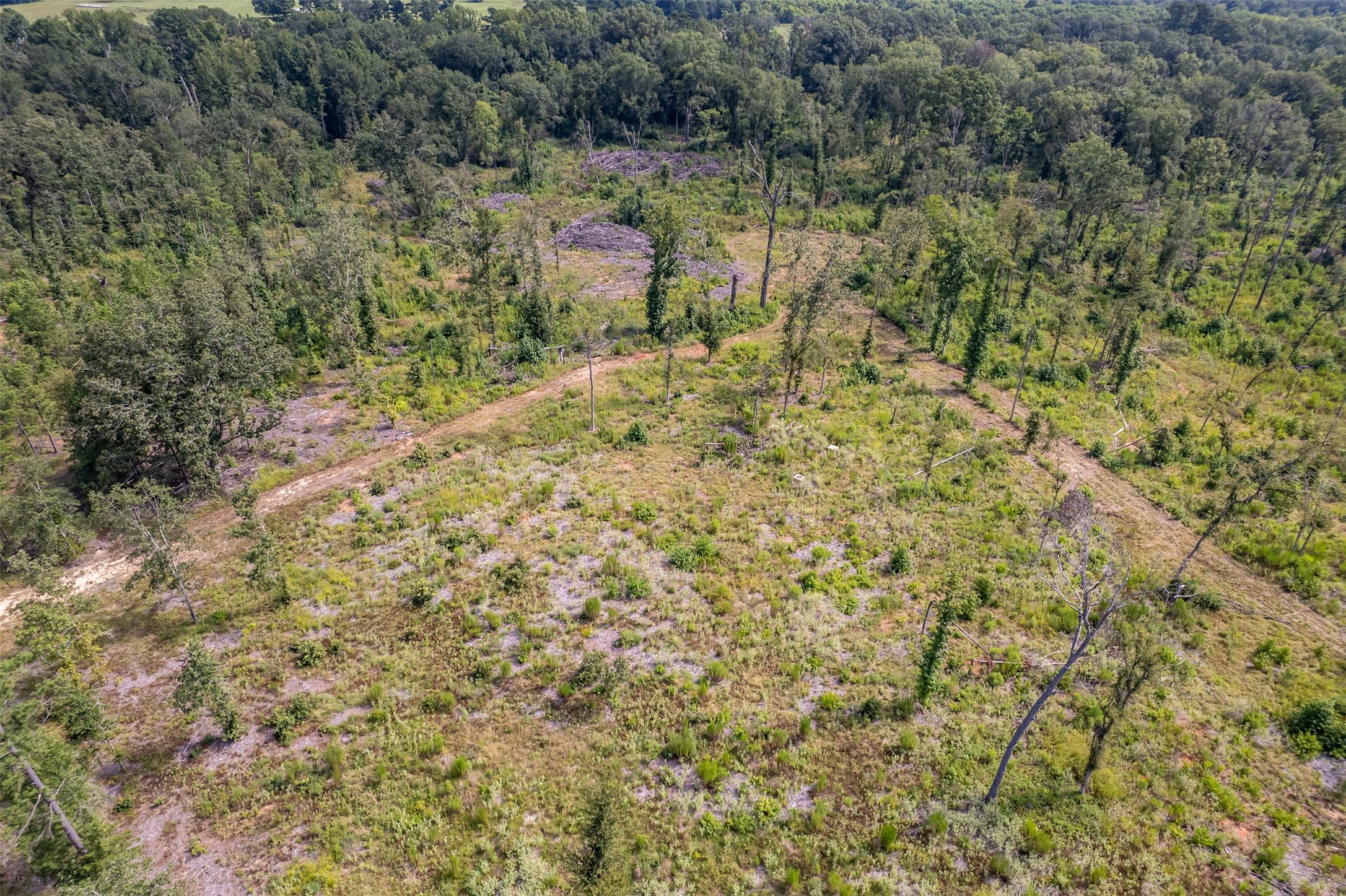 Tbd County Road 2115 Troup TX 75789