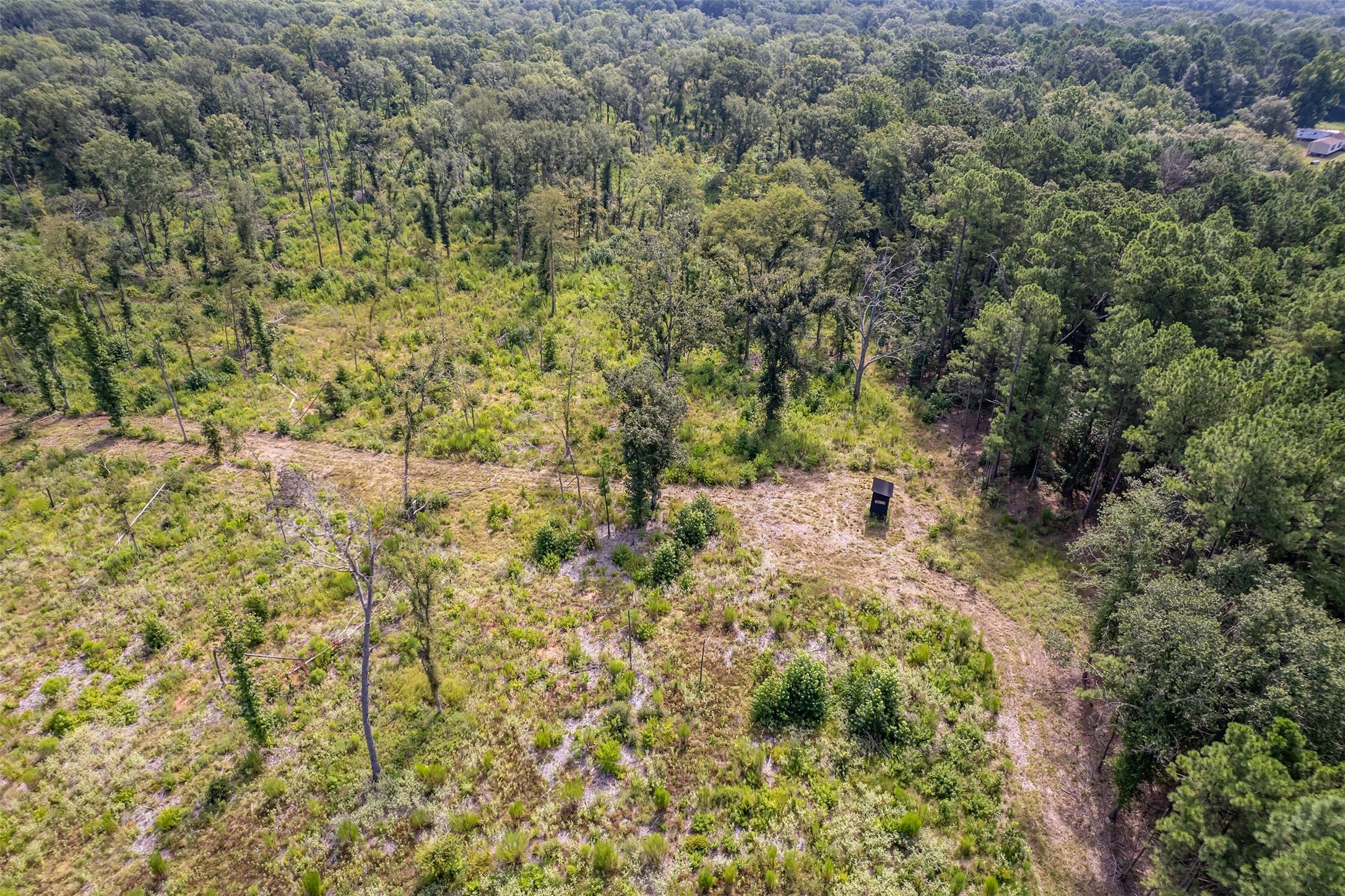 Tbd County Road 2115 Troup TX 75789