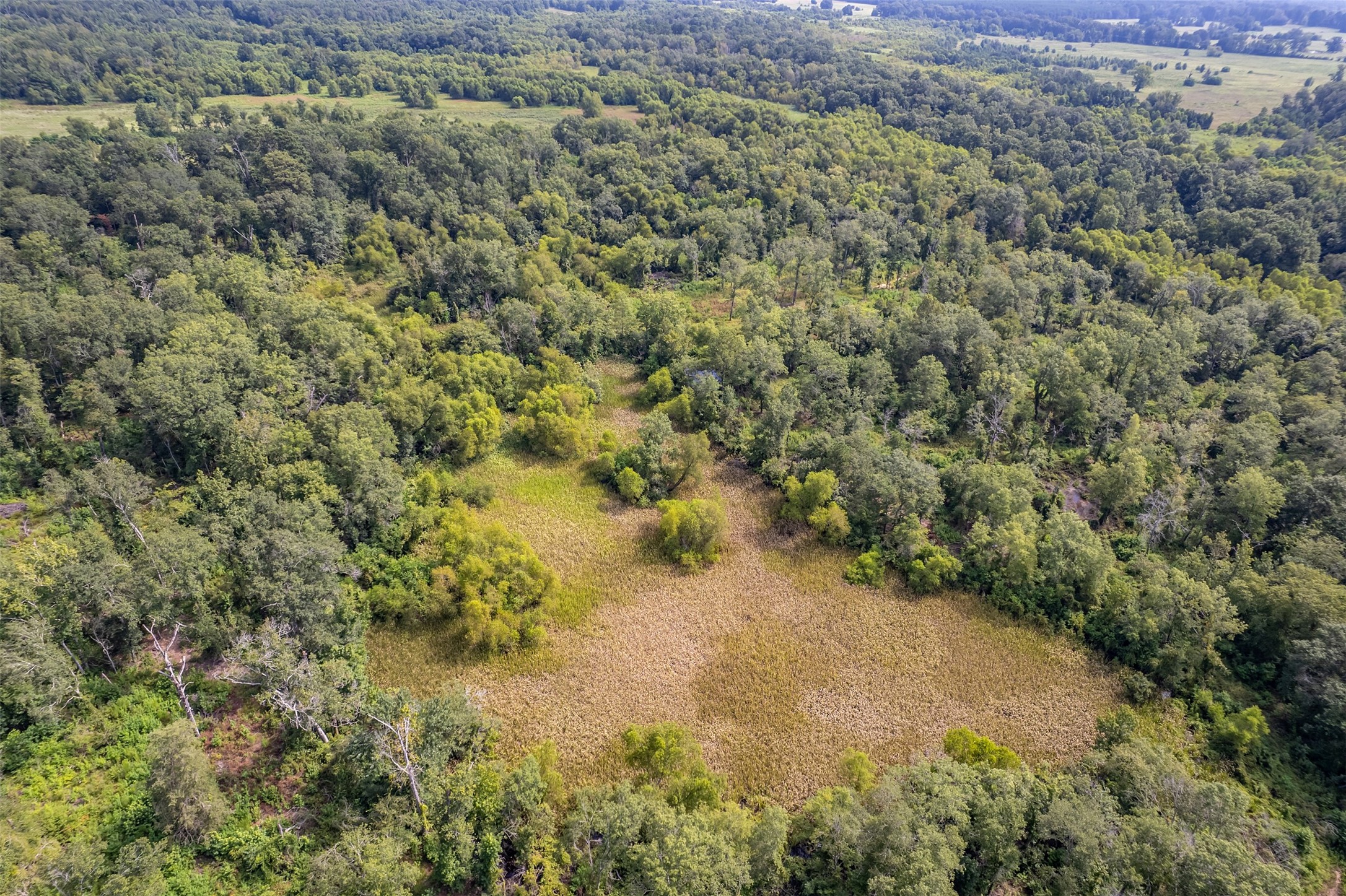Tbd County Road 2115 Troup TX 75789
