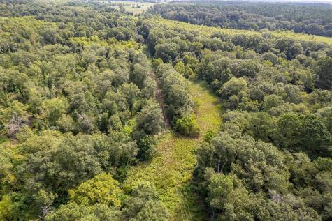 Tbd County Road 2115 Troup TX 75789
