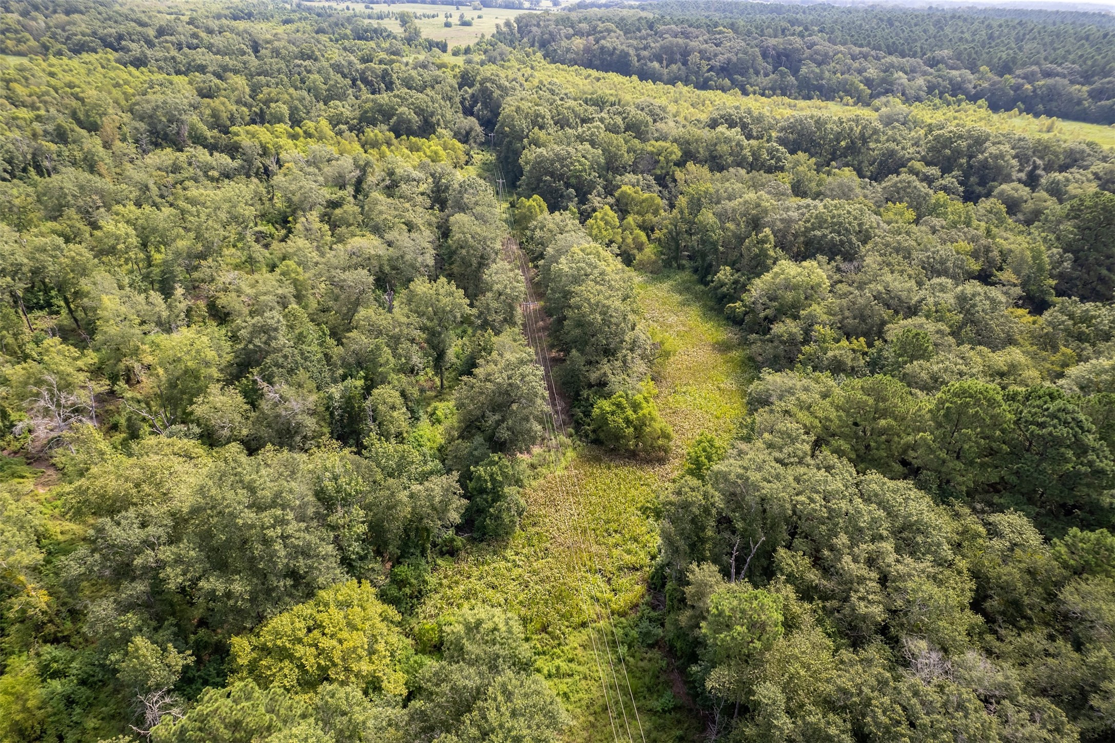 Tbd County Road 2115 Troup TX 75789