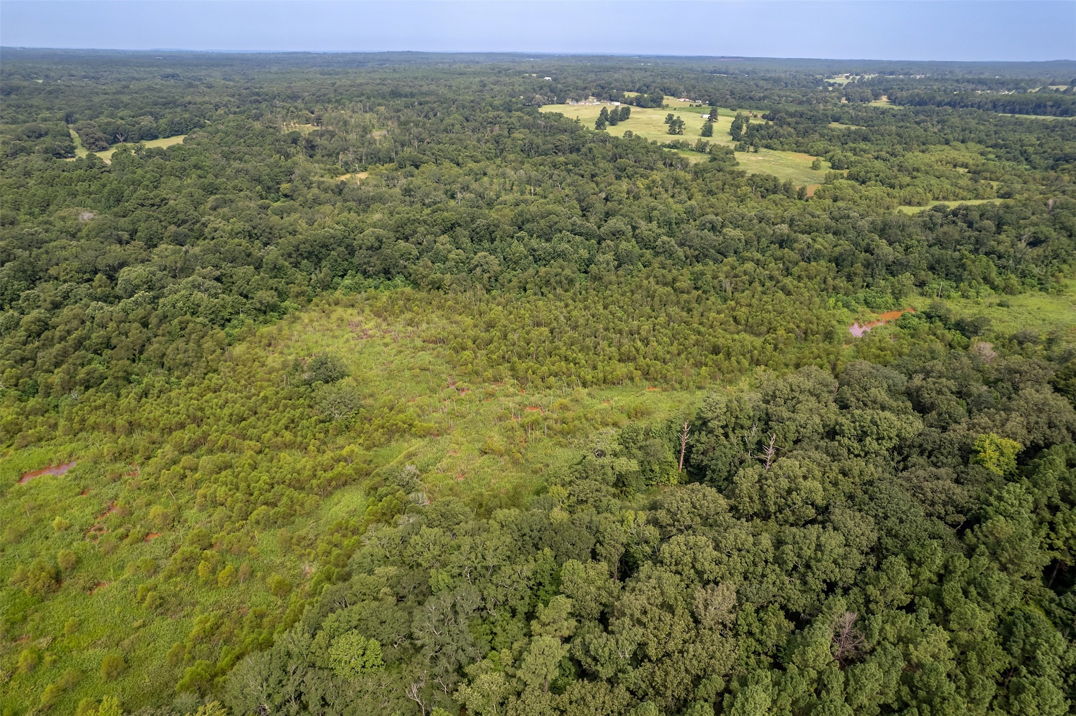 Tbd County Road 2115 Troup TX 75789