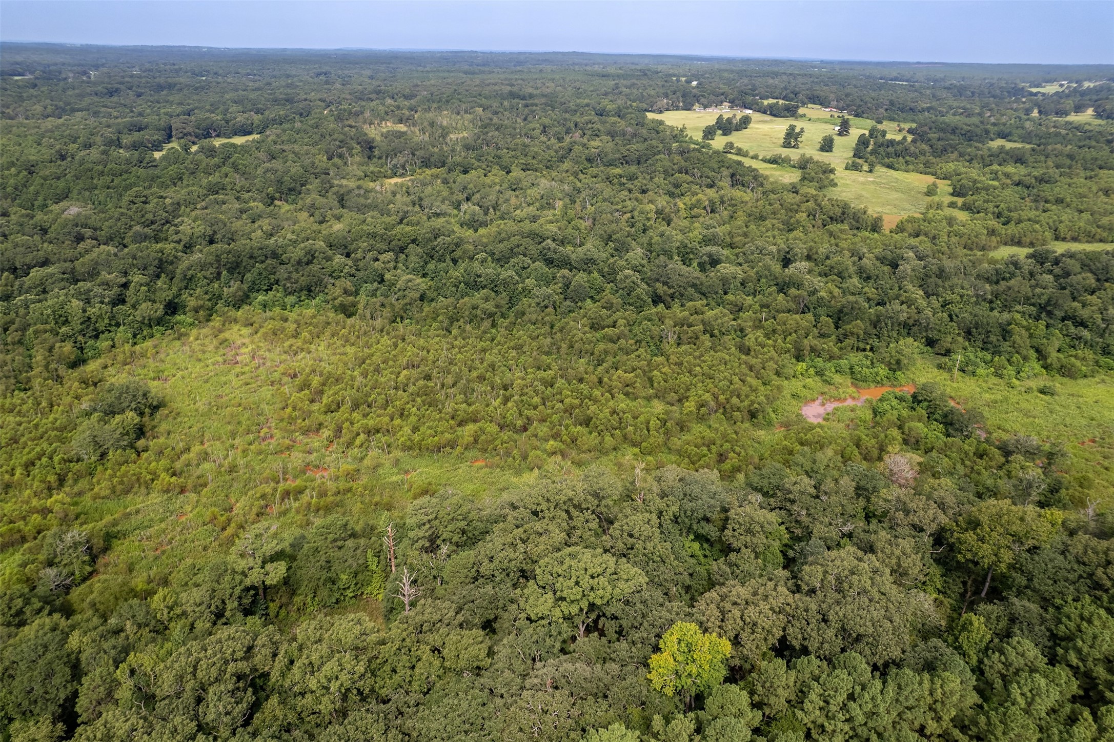Tbd County Road 2115 Troup TX 75789