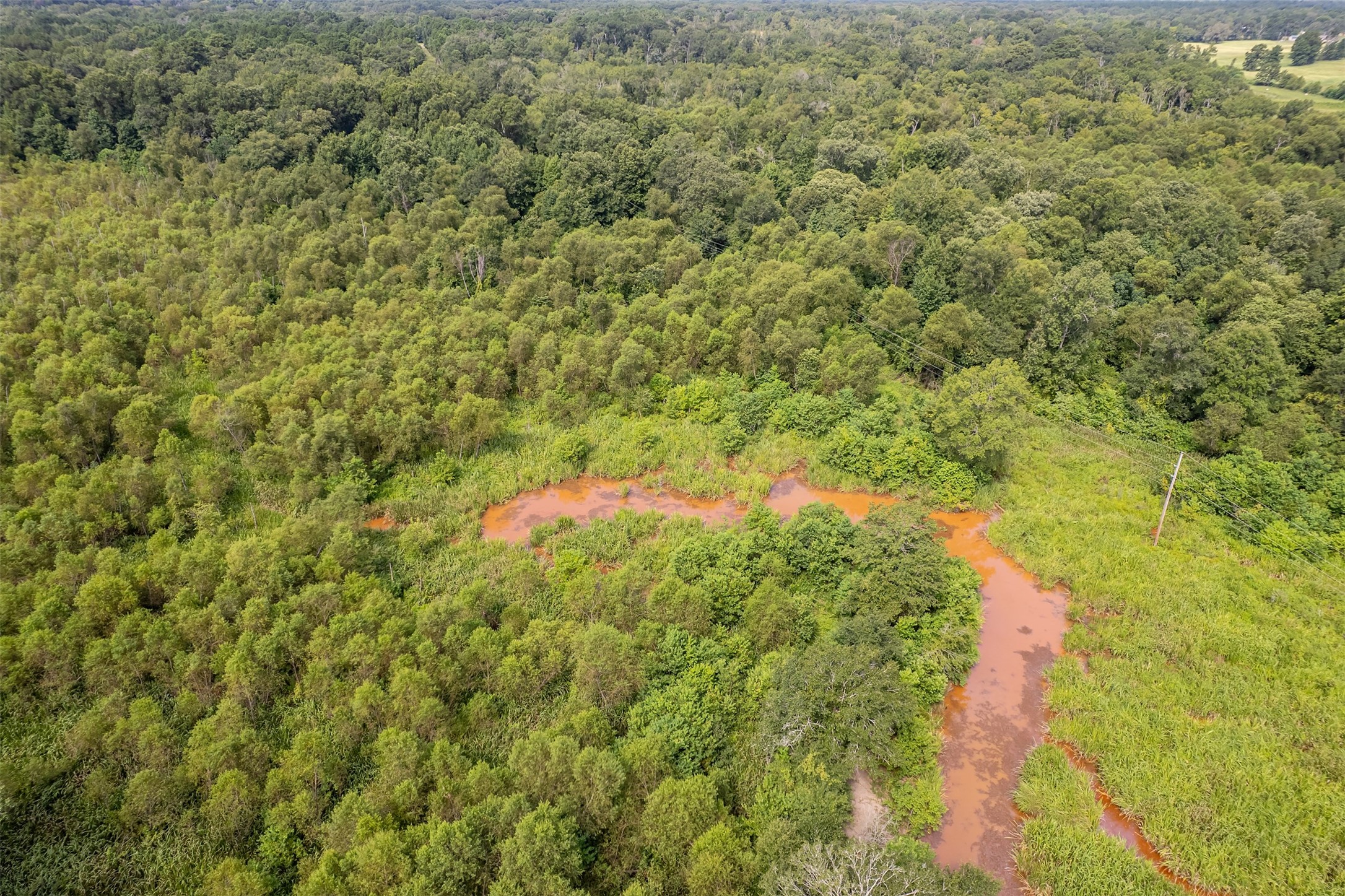 Tbd County Road 2115 Troup TX 75789