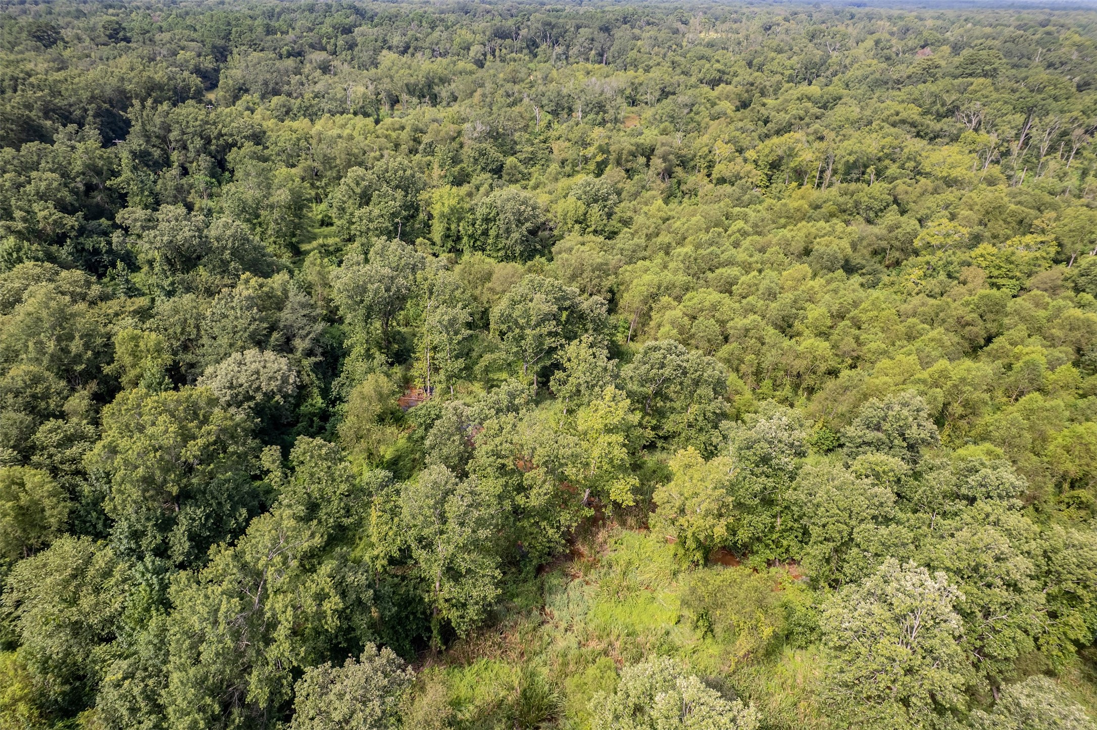 Tbd County Road 2115 Troup TX 75789