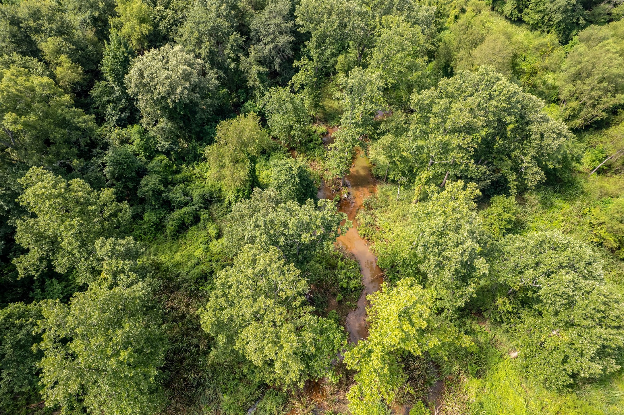 Tbd County Road 2115 Troup TX 75789