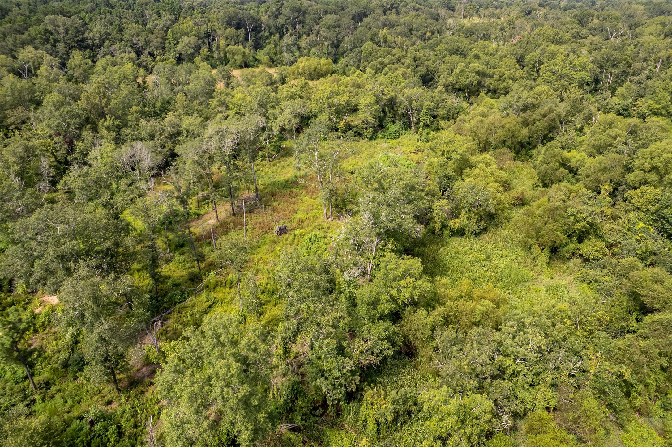 Tbd County Road 2115 Troup TX 75789