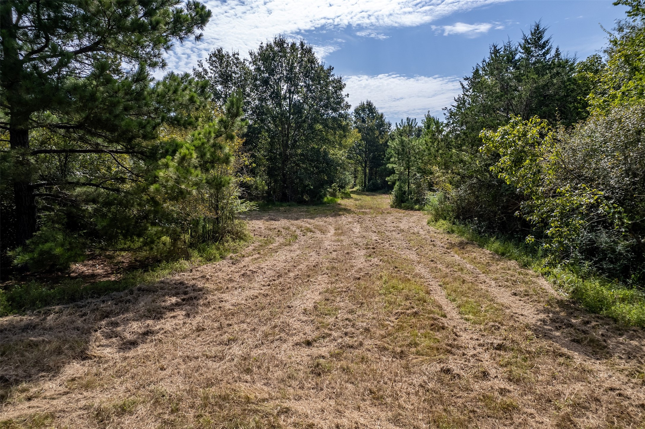Tbd County Road 2115 Troup TX 75789